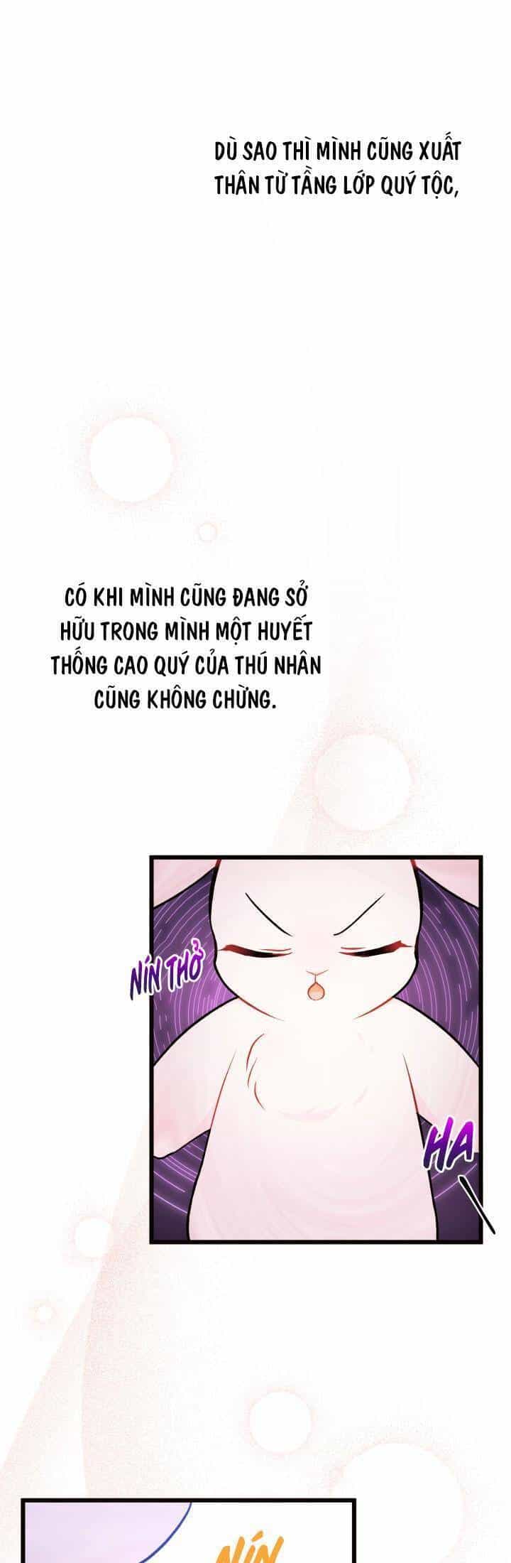 Mối Quan Hệ Cộng Sinh Giữa Báo Đen Và Thỏ Trắng - Chương 22 - ảnh 39