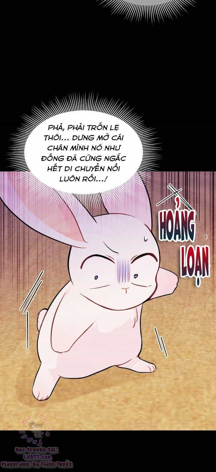 Mối Quan Hệ Cộng Sinh Giữa Báo Đen Và Thỏ Trắng - Chương 23 - ảnh 17