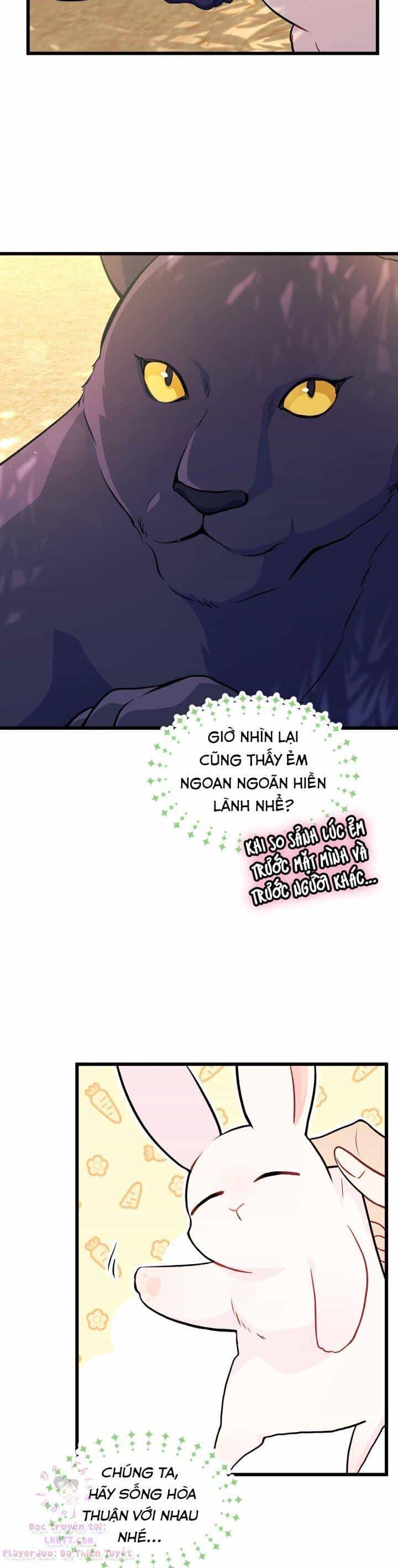 Mối Quan Hệ Cộng Sinh Giữa Báo Đen Và Thỏ Trắng - Chương 23 - ảnh 48