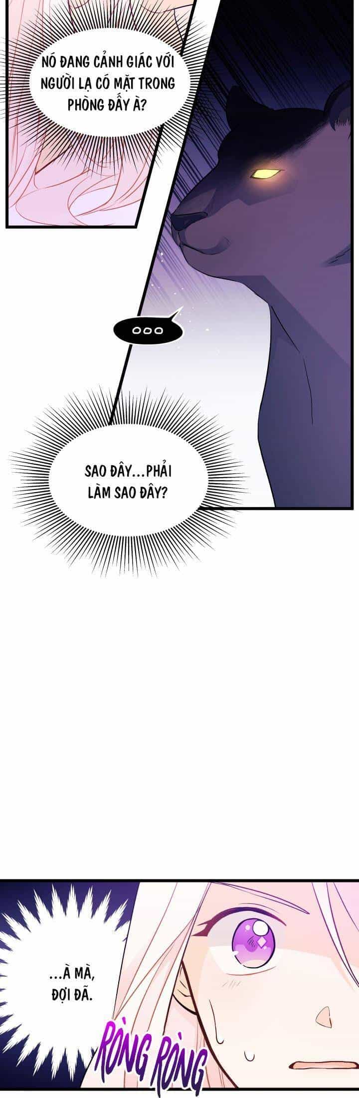 Mối Quan Hệ Cộng Sinh Giữa Báo Đen Và Thỏ Trắng - Chương 24 - ảnh 13