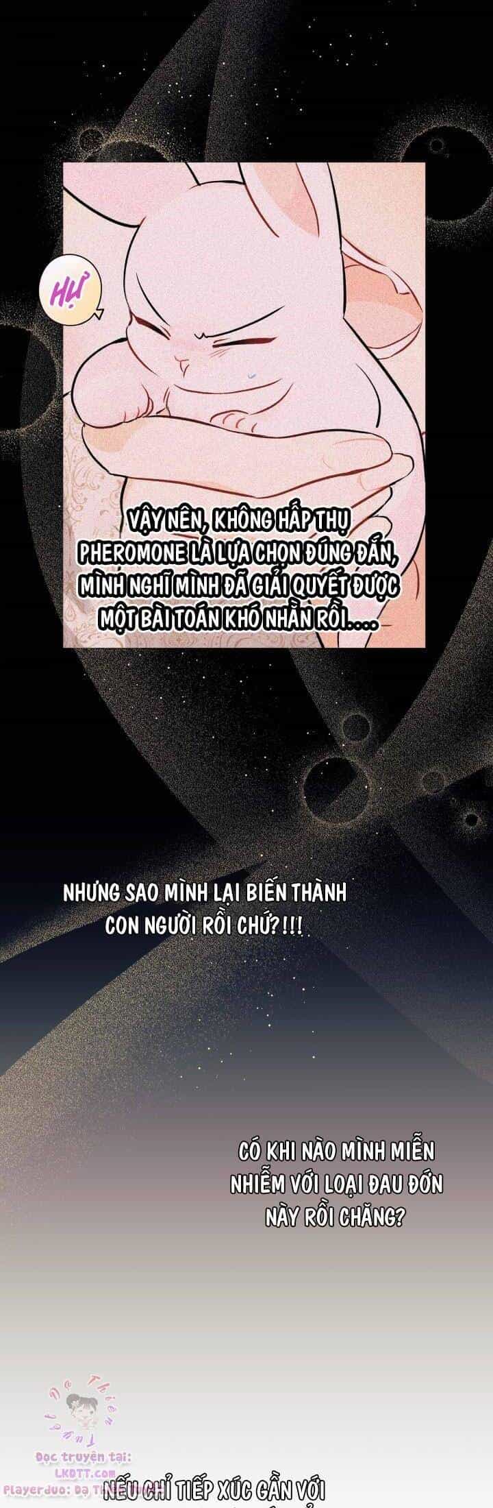 Mối Quan Hệ Cộng Sinh Giữa Báo Đen Và Thỏ Trắng - Chương 24 - ảnh 6
