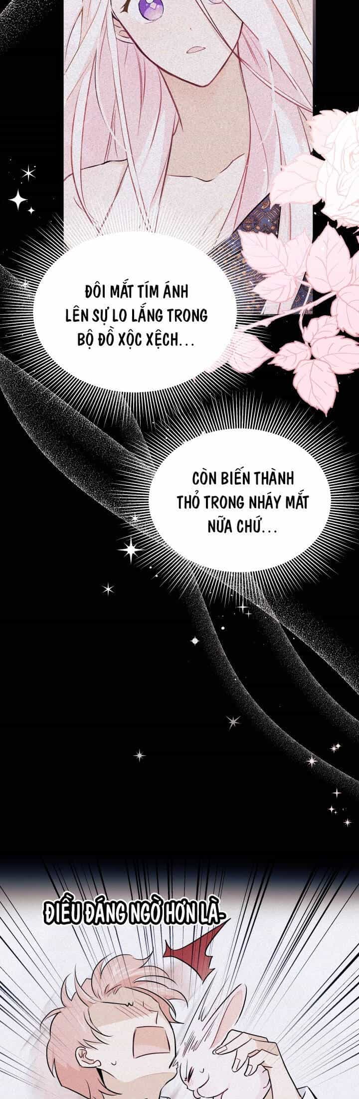 Mối Quan Hệ Cộng Sinh Giữa Báo Đen Và Thỏ Trắng - Chương 26 - ảnh 9