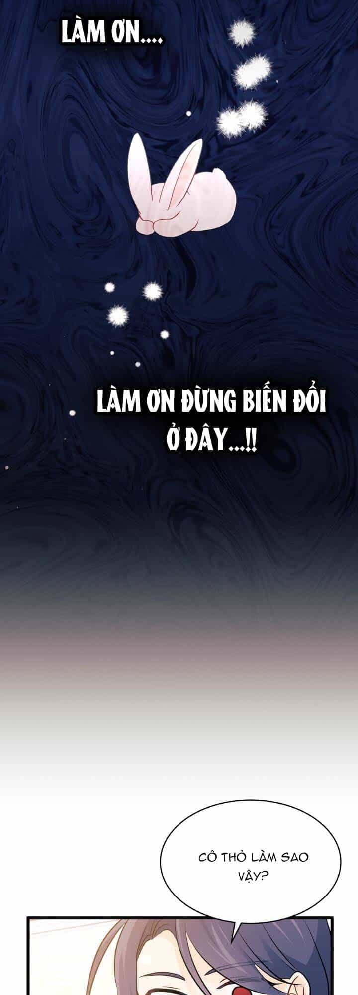 Mối Quan Hệ Cộng Sinh Giữa Báo Đen Và Thỏ Trắng - Chương 27 - ảnh 45