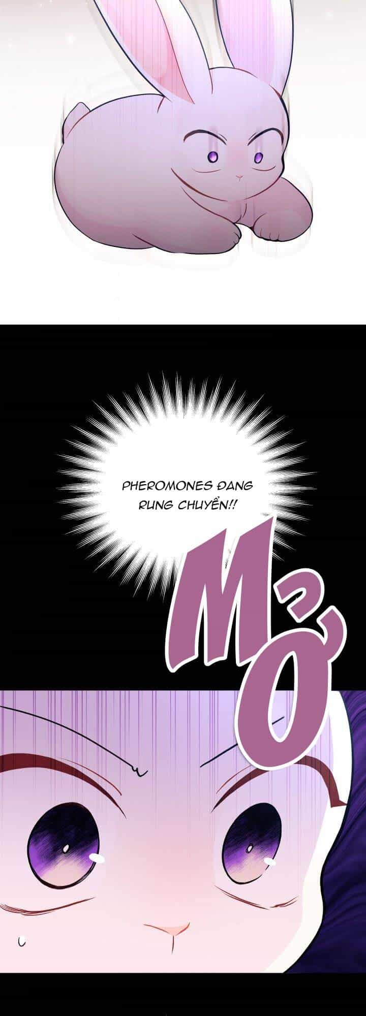 Mối Quan Hệ Cộng Sinh Giữa Báo Đen Và Thỏ Trắng - Chương 27 - ảnh 53
