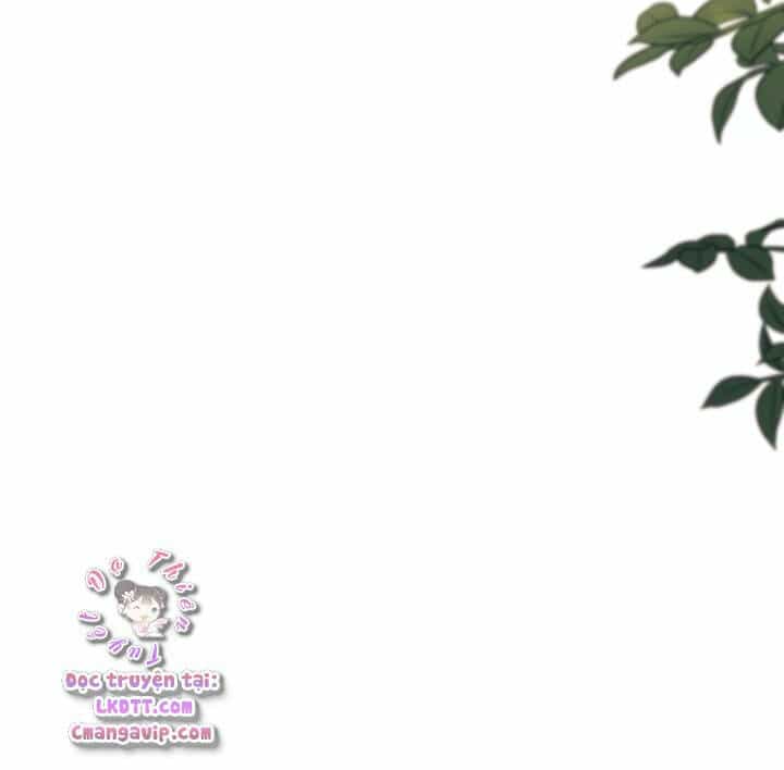 Mối Quan Hệ Cộng Sinh Giữa Báo Đen Và Thỏ Trắng - Chương 28 - ảnh 56