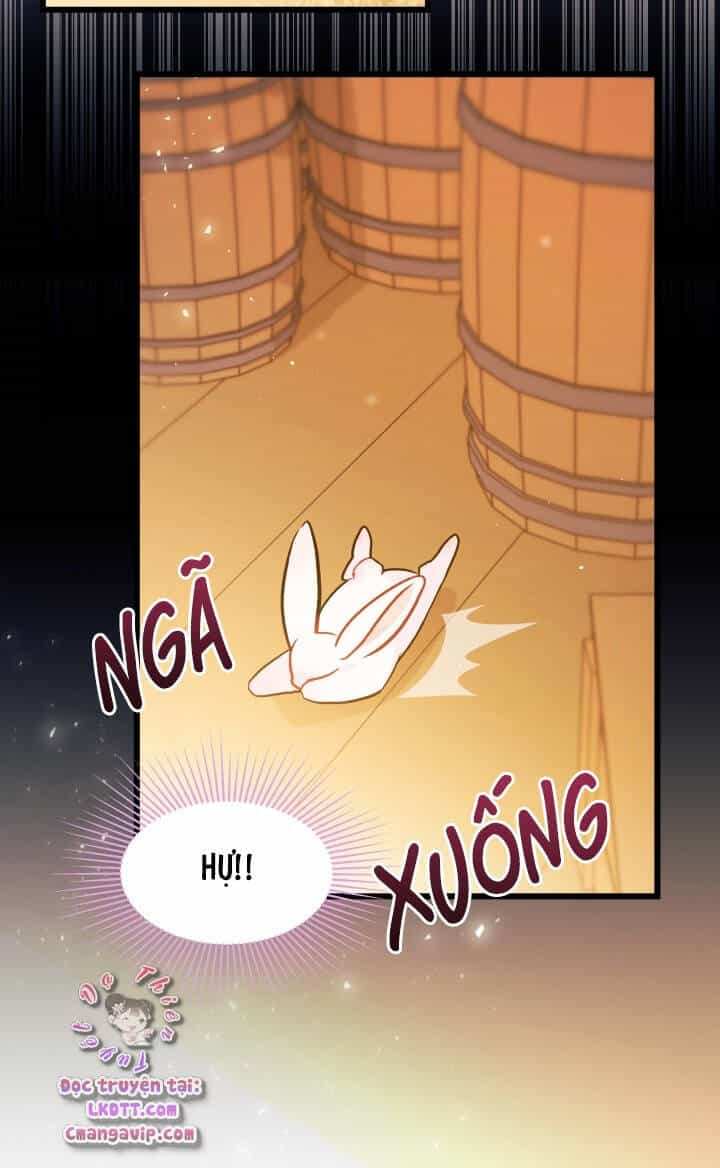 Mối Quan Hệ Cộng Sinh Giữa Báo Đen Và Thỏ Trắng - Chương 28 - ảnh 66