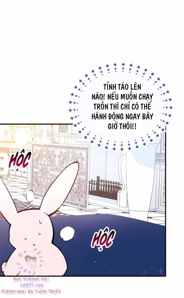 Mối Quan Hệ Cộng Sinh Giữa Báo Đen Và Thỏ Trắng - Chương 2 - ảnh 15