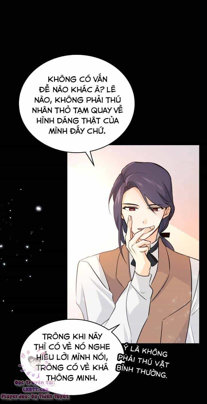 Mối Quan Hệ Cộng Sinh Giữa Báo Đen Và Thỏ Trắng - Chương 2 - ảnh 36
