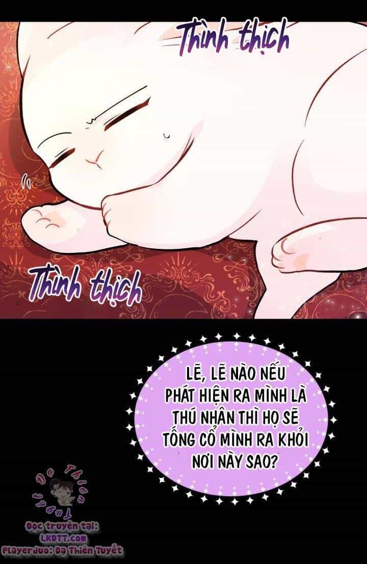 Mối Quan Hệ Cộng Sinh Giữa Báo Đen Và Thỏ Trắng - Chương 2 - ảnh 40