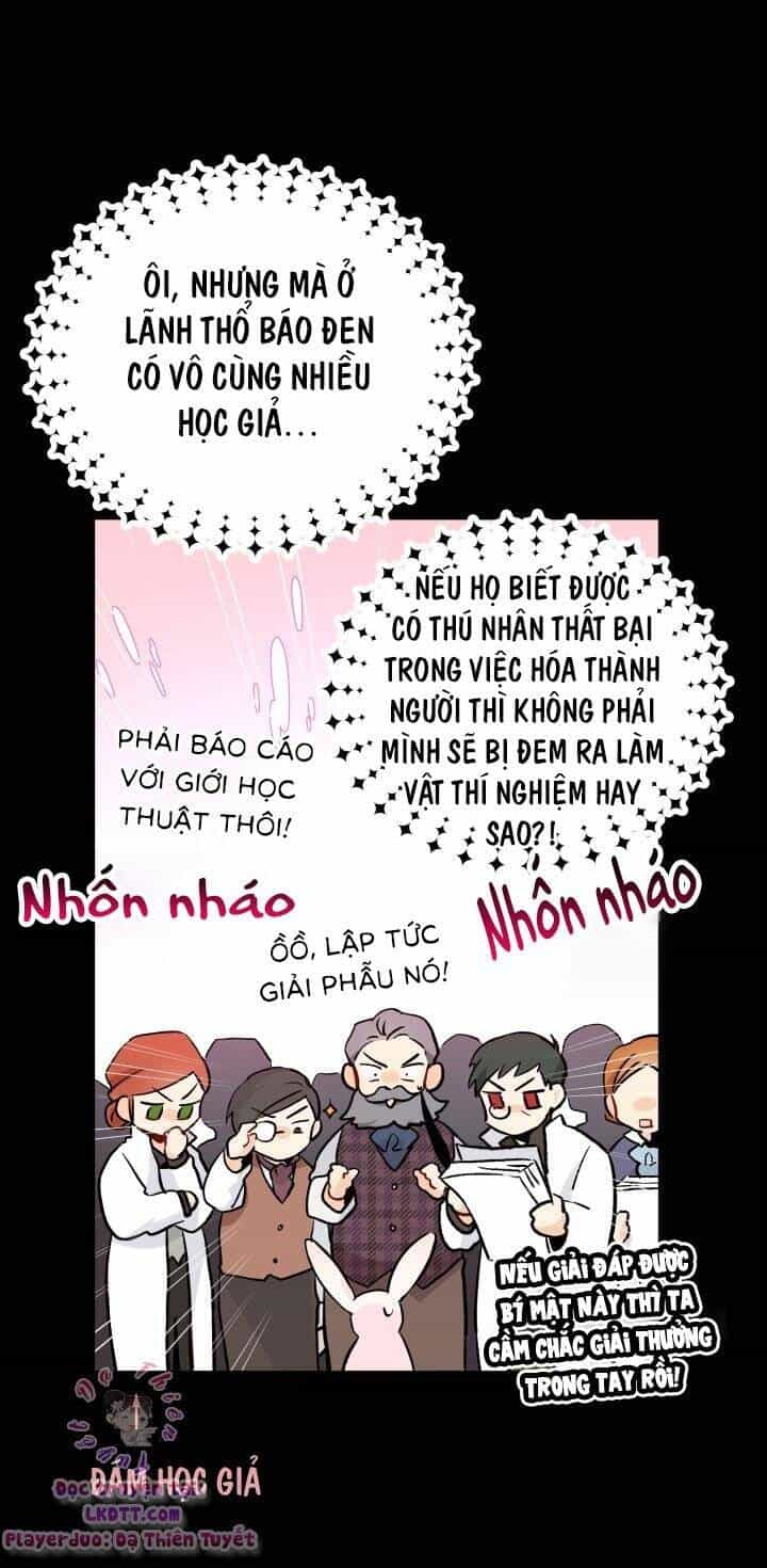 Mối Quan Hệ Cộng Sinh Giữa Báo Đen Và Thỏ Trắng - Chương 2 - ảnh 41
