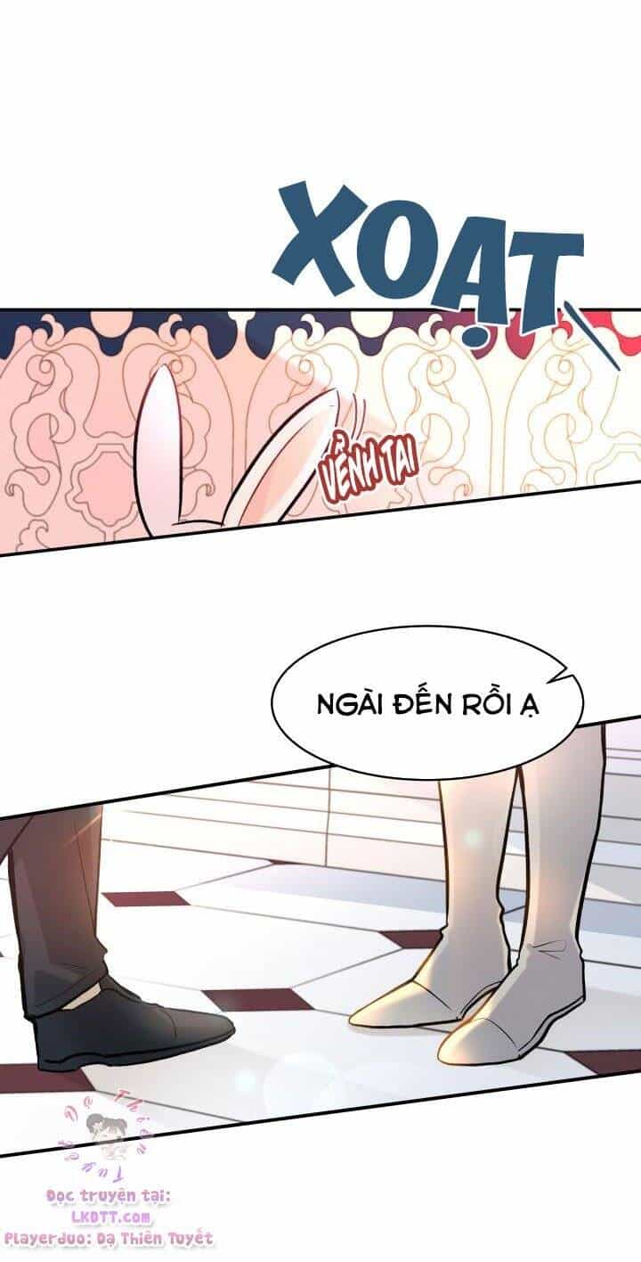 Mối Quan Hệ Cộng Sinh Giữa Báo Đen Và Thỏ Trắng - Chương 2 - ảnh 54
