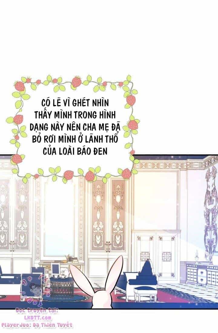 Mối Quan Hệ Cộng Sinh Giữa Báo Đen Và Thỏ Trắng - Chương 2 - ảnh 7
