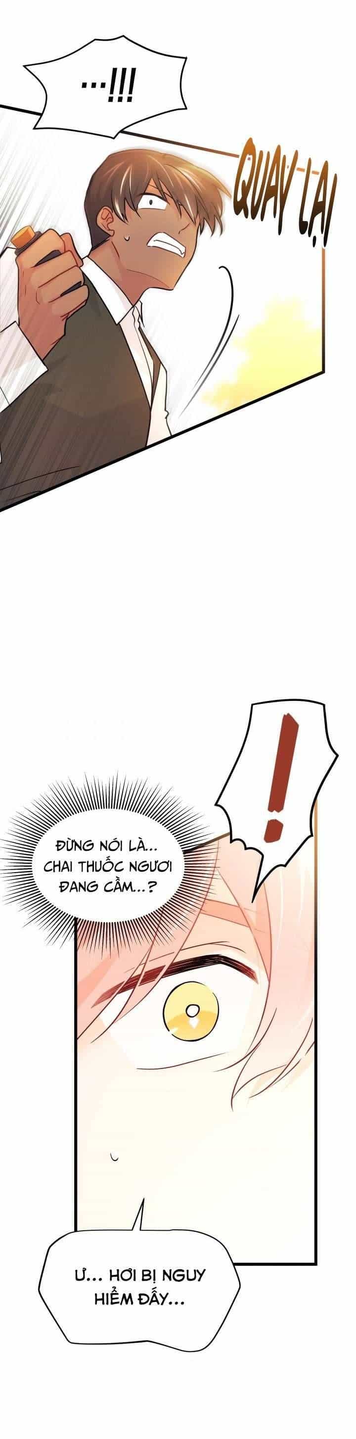 Mối Quan Hệ Cộng Sinh Giữa Báo Đen Và Thỏ Trắng - Chương 33 - ảnh 19