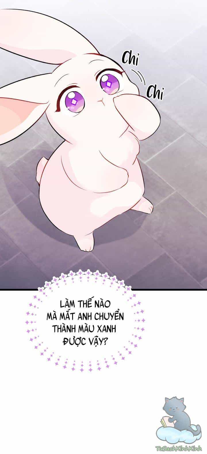 Mối Quan Hệ Cộng Sinh Giữa Báo Đen Và Thỏ Trắng - Chương 35 - ảnh 23