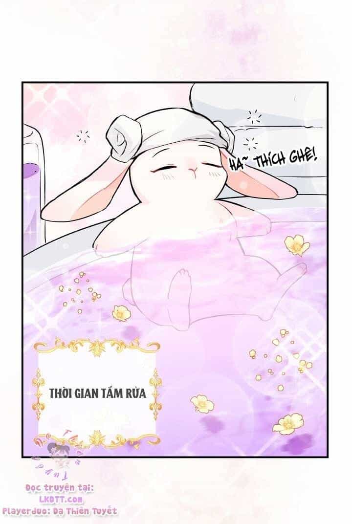 Mối Quan Hệ Cộng Sinh Giữa Báo Đen Và Thỏ Trắng - Chương 3 - ảnh 42