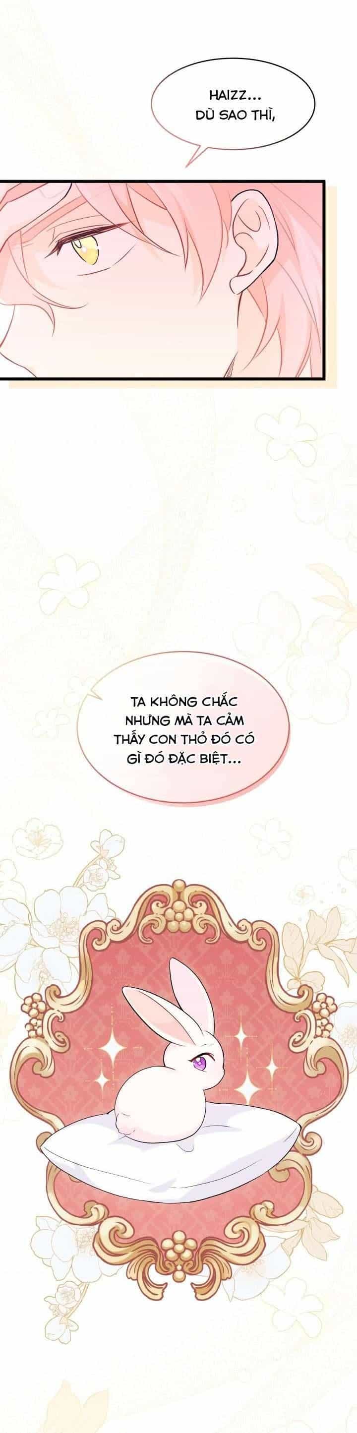 Mối Quan Hệ Cộng Sinh Giữa Báo Đen Và Thỏ Trắng - Chương 38 - ảnh 48
