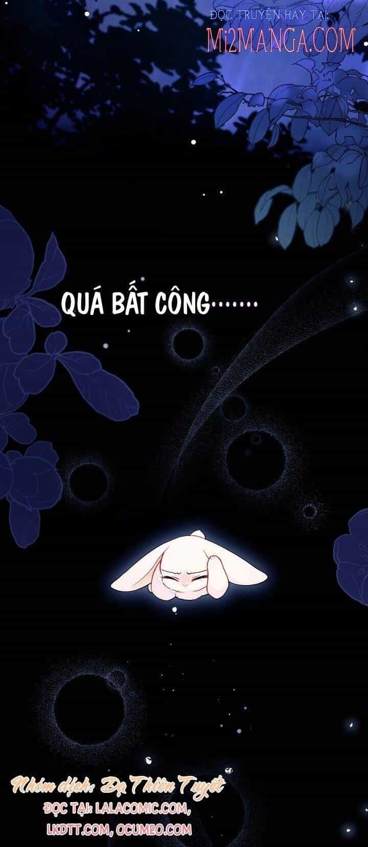Mối Quan Hệ Cộng Sinh Giữa Báo Đen Và Thỏ Trắng - Chương 39 - ảnh 16