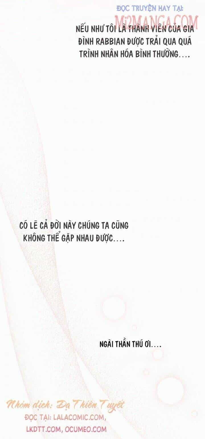 Mối Quan Hệ Cộng Sinh Giữa Báo Đen Và Thỏ Trắng - Chương 39 - ảnh 36