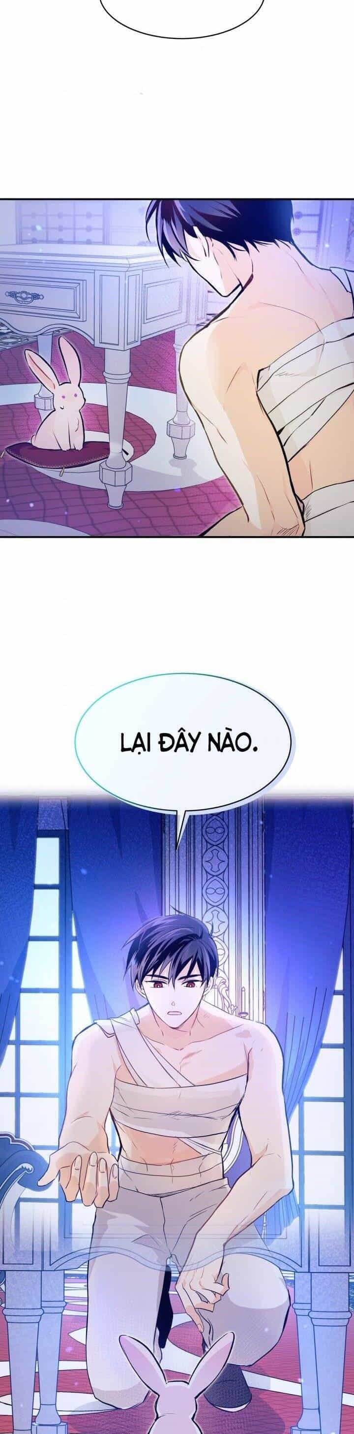 Mối Quan Hệ Cộng Sinh Giữa Báo Đen Và Thỏ Trắng - Chương 4 - ảnh 21