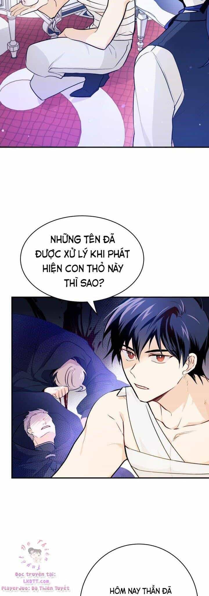 Mối Quan Hệ Cộng Sinh Giữa Báo Đen Và Thỏ Trắng - Chương 4 - ảnh 24