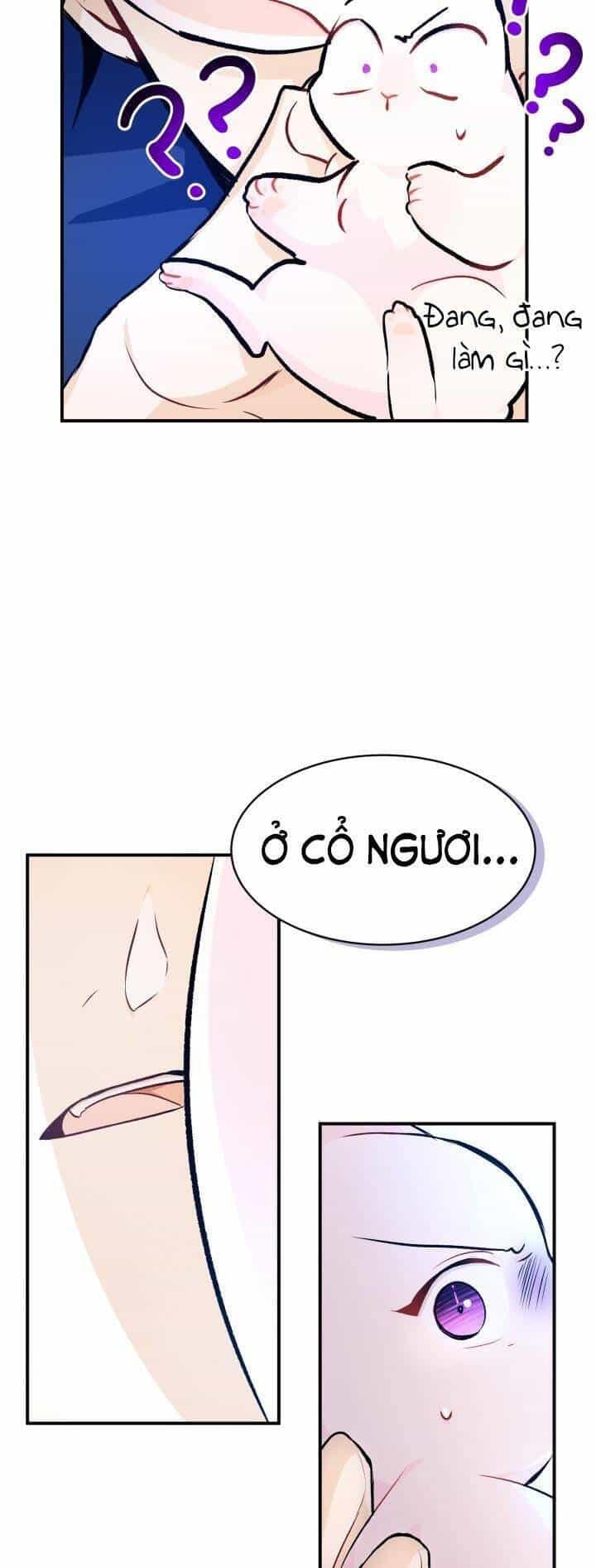 Mối Quan Hệ Cộng Sinh Giữa Báo Đen Và Thỏ Trắng - Chương 4 - ảnh 35