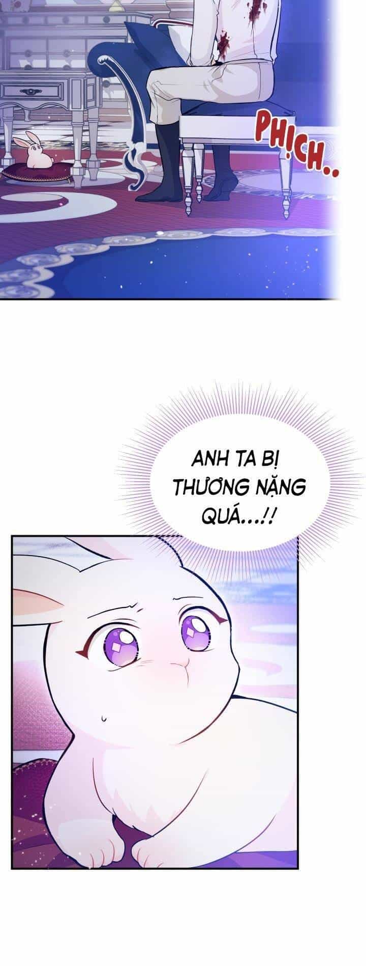 Mối Quan Hệ Cộng Sinh Giữa Báo Đen Và Thỏ Trắng - Chương 4 - ảnh 7