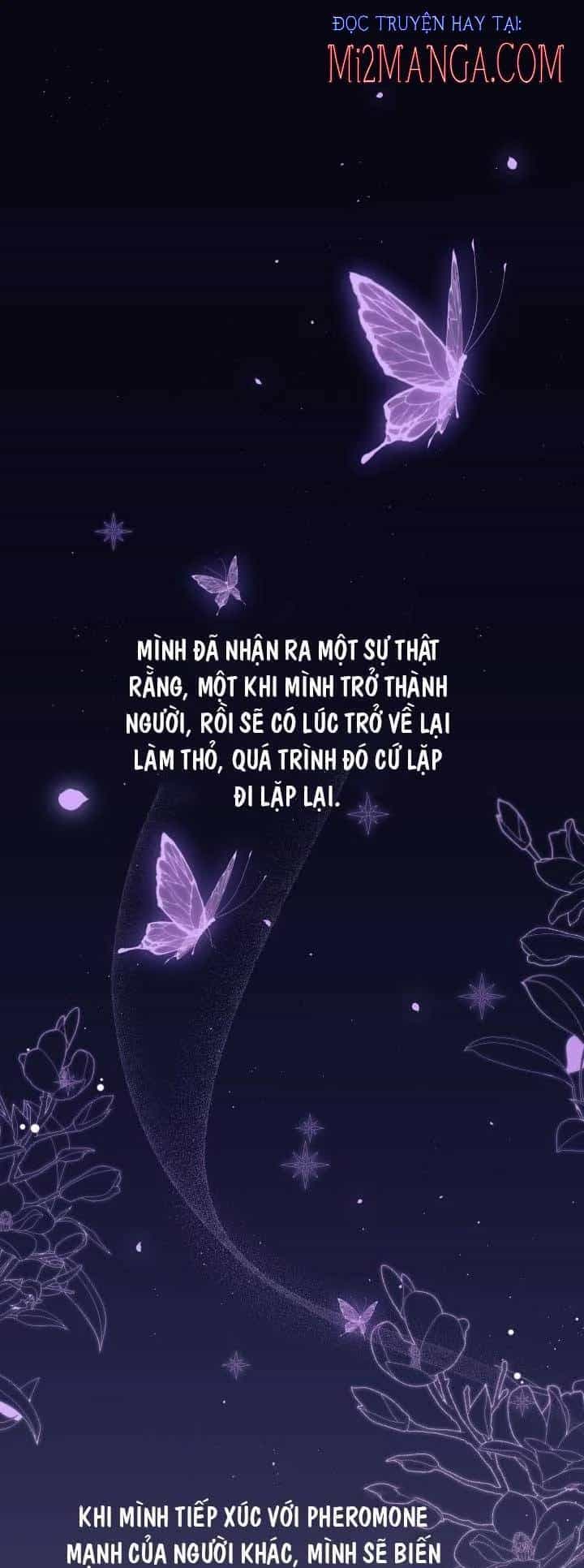 Mối Quan Hệ Cộng Sinh Giữa Báo Đen Và Thỏ Trắng - Chương 44 - ảnh 2