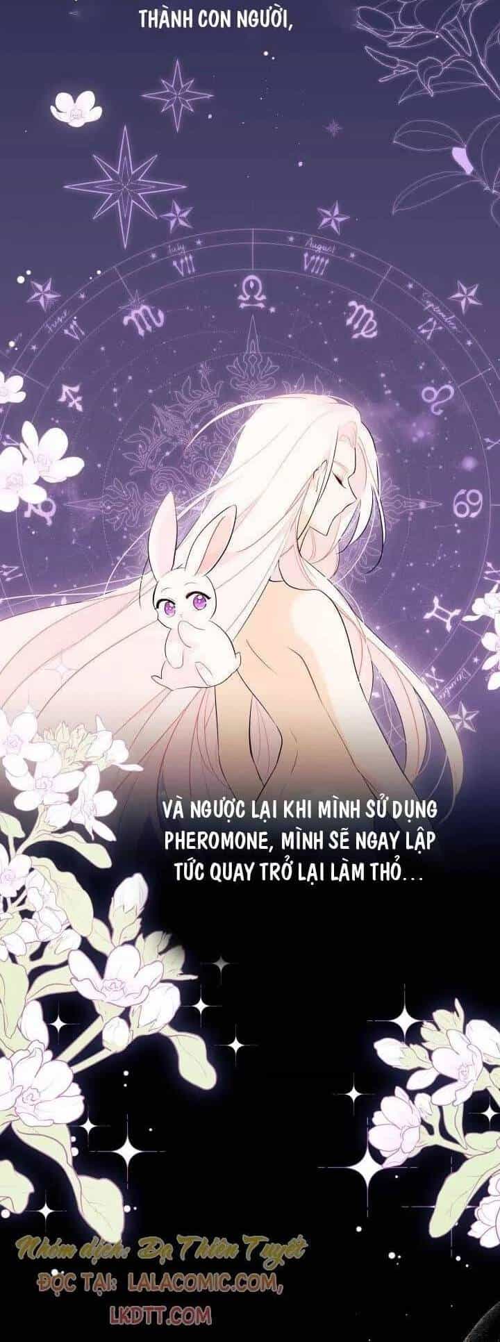 Mối Quan Hệ Cộng Sinh Giữa Báo Đen Và Thỏ Trắng - Chương 44 - ảnh 3