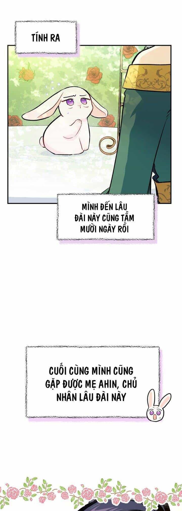 Mối Quan Hệ Cộng Sinh Giữa Báo Đen Và Thỏ Trắng - Chương 5 - ảnh 12