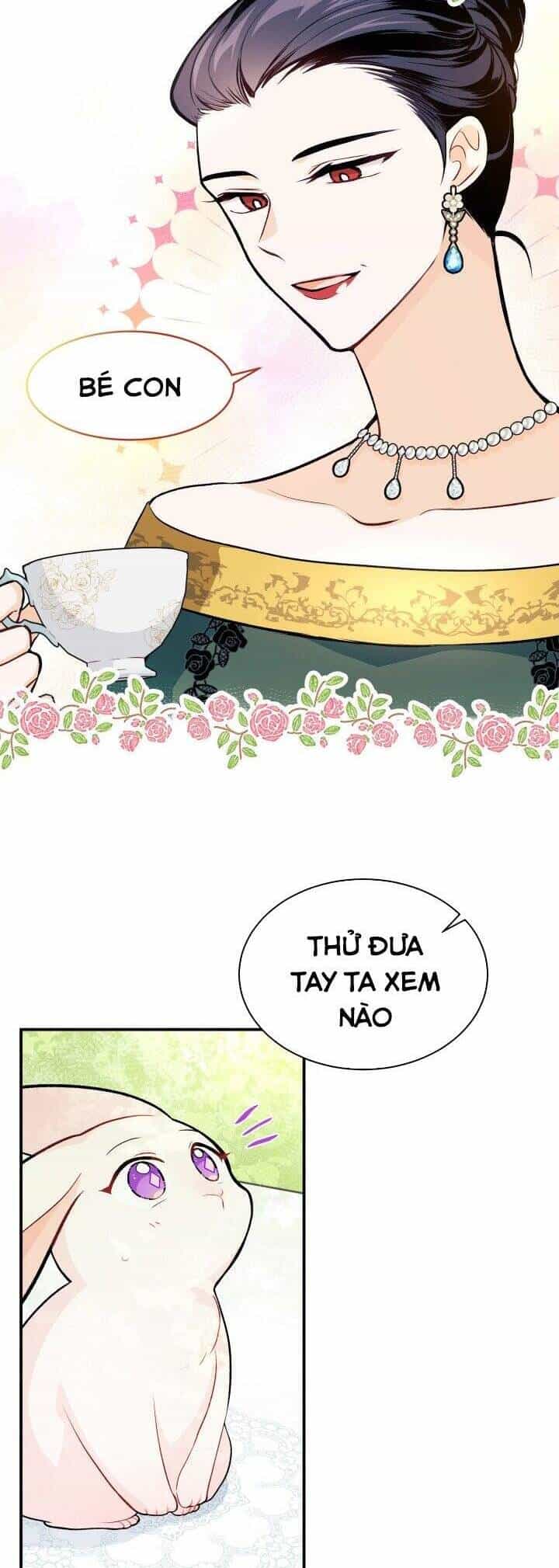 Mối Quan Hệ Cộng Sinh Giữa Báo Đen Và Thỏ Trắng - Chương 5 - ảnh 13