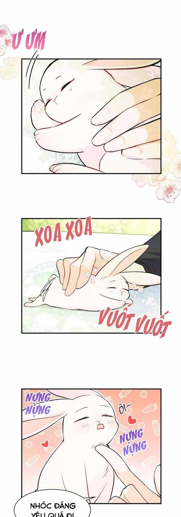 Mối Quan Hệ Cộng Sinh Giữa Báo Đen Và Thỏ Trắng - Chương 5 - ảnh 16