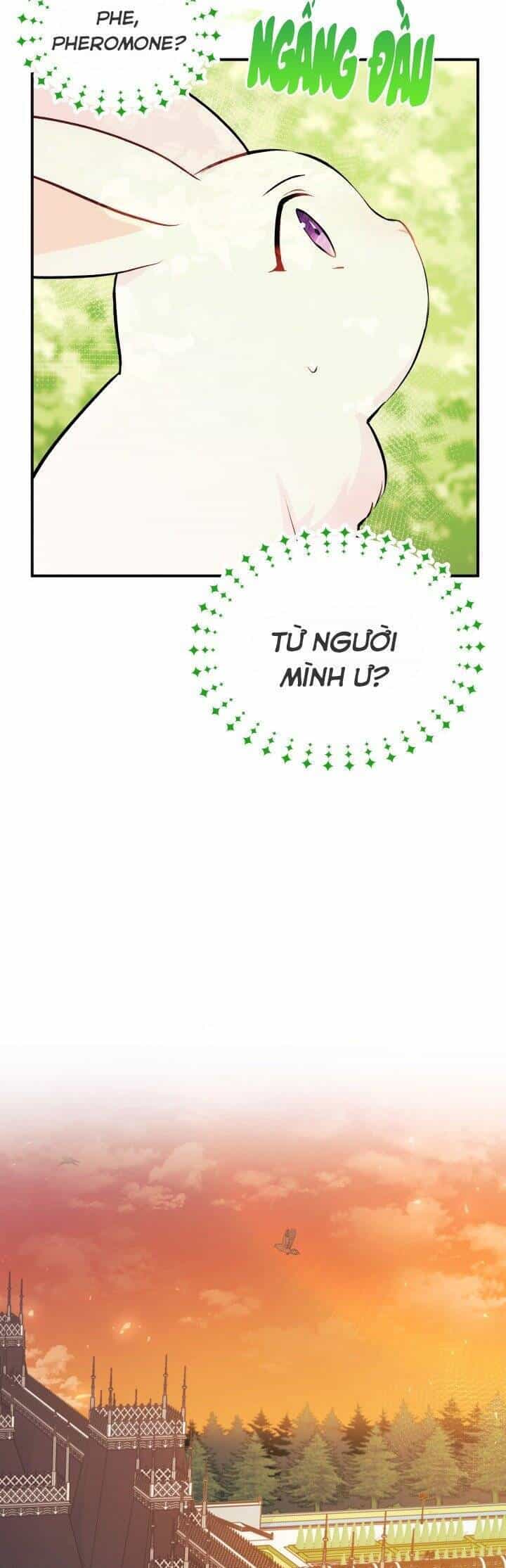 Mối Quan Hệ Cộng Sinh Giữa Báo Đen Và Thỏ Trắng - Chương 5 - ảnh 26