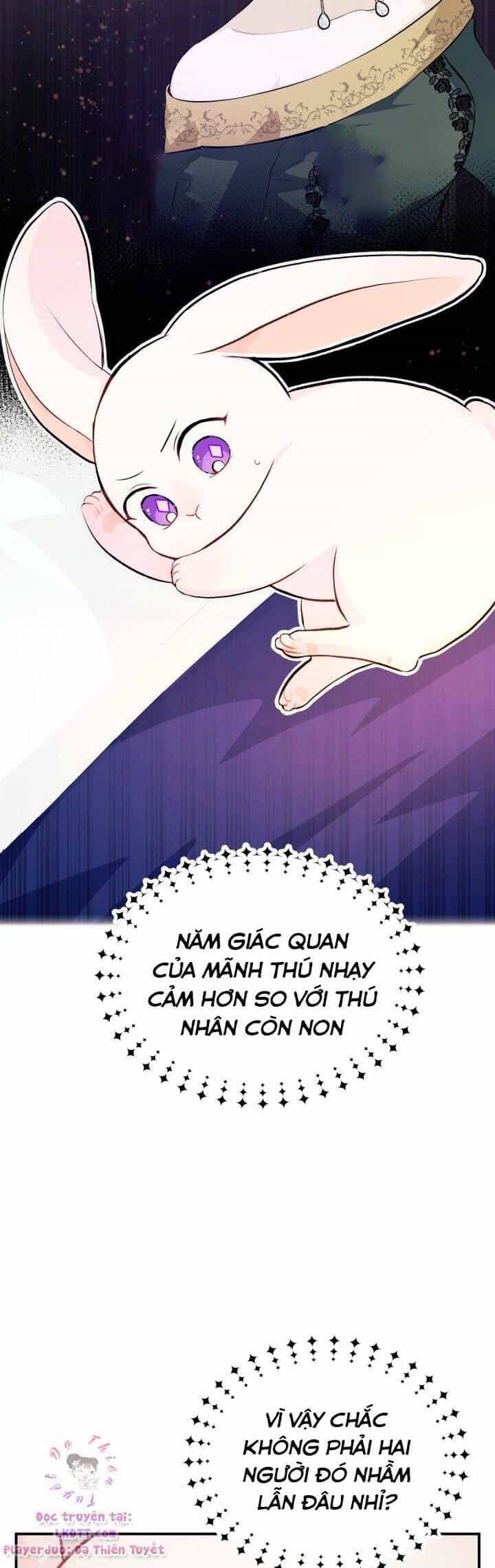 Mối Quan Hệ Cộng Sinh Giữa Báo Đen Và Thỏ Trắng - Chương 5 - ảnh 29