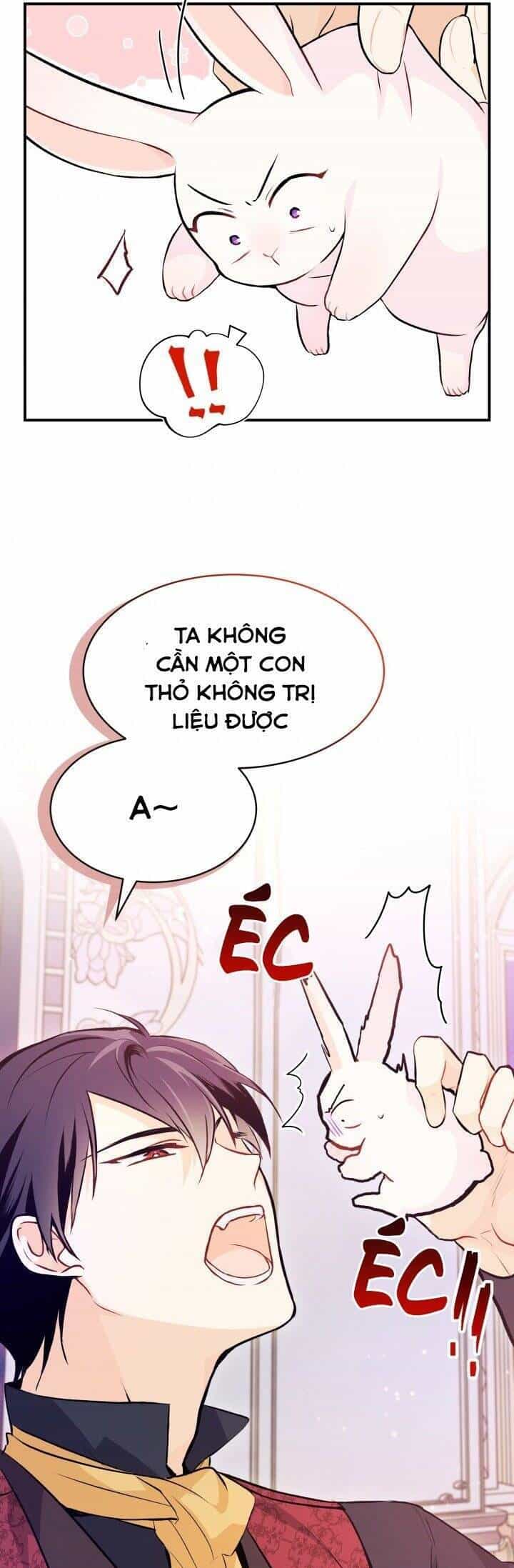Mối Quan Hệ Cộng Sinh Giữa Báo Đen Và Thỏ Trắng - Chương 5 - ảnh 42