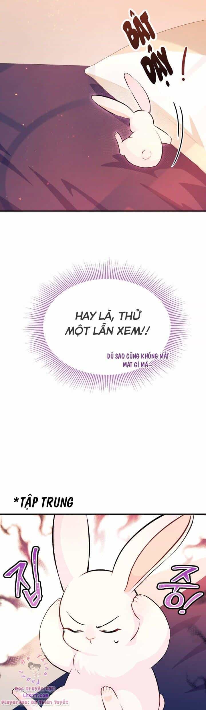 Mối Quan Hệ Cộng Sinh Giữa Báo Đen Và Thỏ Trắng - Chương 5 - ảnh 52