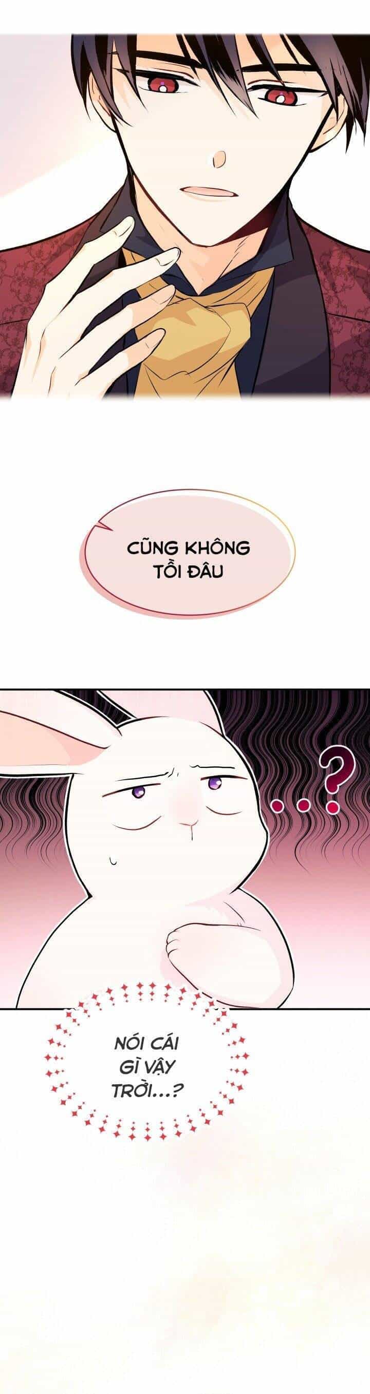 Mối Quan Hệ Cộng Sinh Giữa Báo Đen Và Thỏ Trắng - Chương 5 - ảnh 72