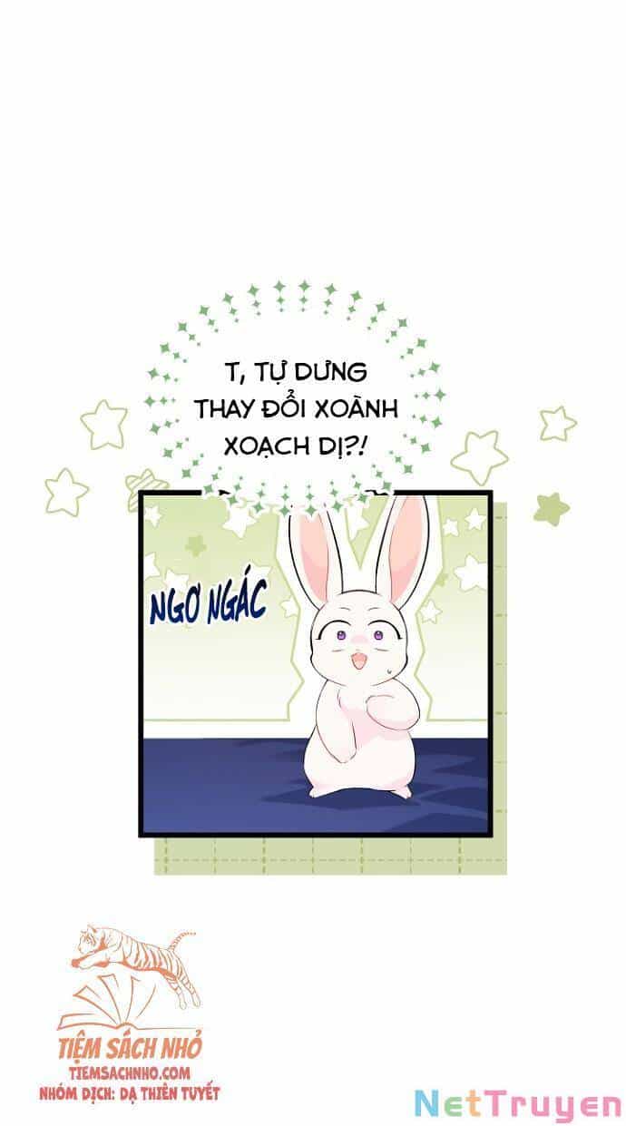 Mối Quan Hệ Cộng Sinh Giữa Báo Đen Và Thỏ Trắng - Chương 47 - ảnh 14
