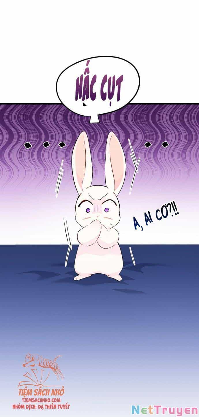 Mối Quan Hệ Cộng Sinh Giữa Báo Đen Và Thỏ Trắng - Chương 47 - ảnh 16