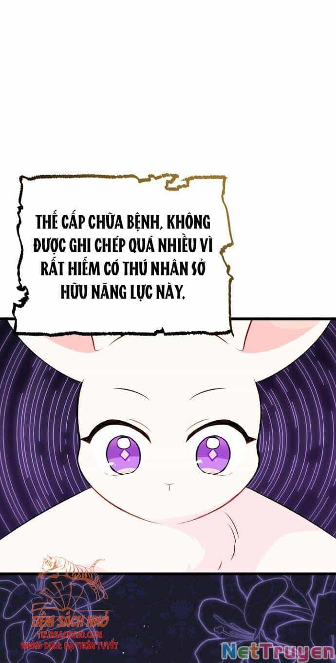 Mối Quan Hệ Cộng Sinh Giữa Báo Đen Và Thỏ Trắng - Chương 47 - ảnh 59