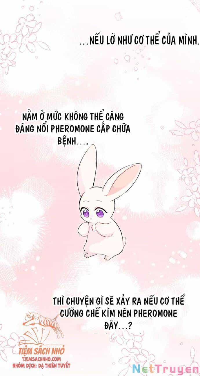 Mối Quan Hệ Cộng Sinh Giữa Báo Đen Và Thỏ Trắng - Chương 47 - ảnh 68