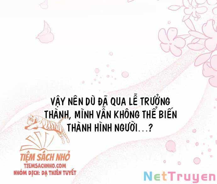 Mối Quan Hệ Cộng Sinh Giữa Báo Đen Và Thỏ Trắng - Chương 47 - ảnh 69