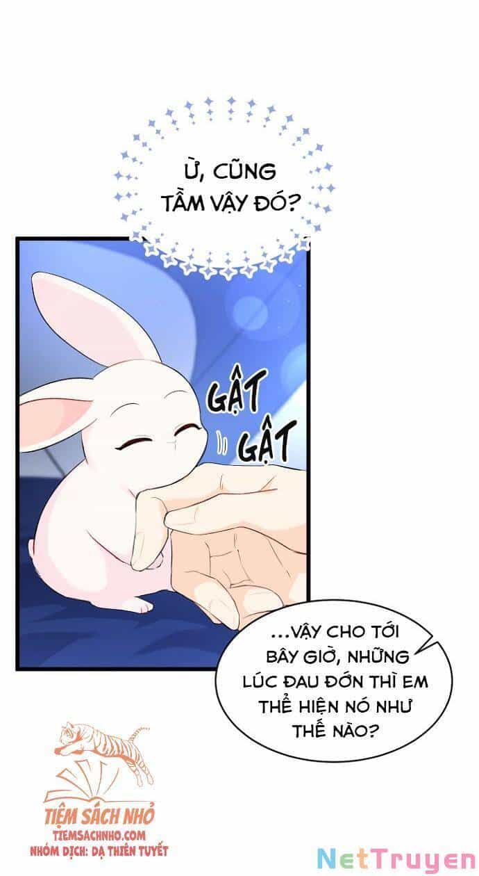 Mối Quan Hệ Cộng Sinh Giữa Báo Đen Và Thỏ Trắng - Chương 47 - ảnh 7