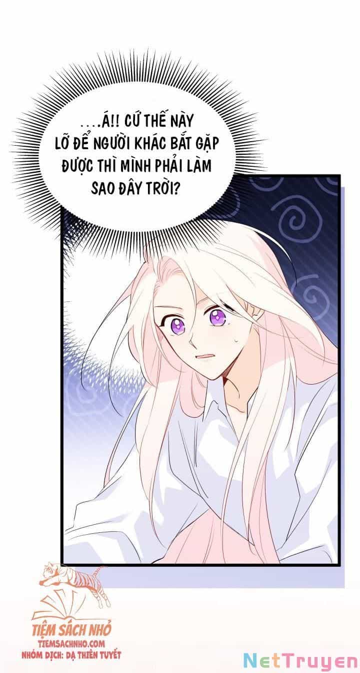 Mối Quan Hệ Cộng Sinh Giữa Báo Đen Và Thỏ Trắng - Chương 48 - ảnh 65