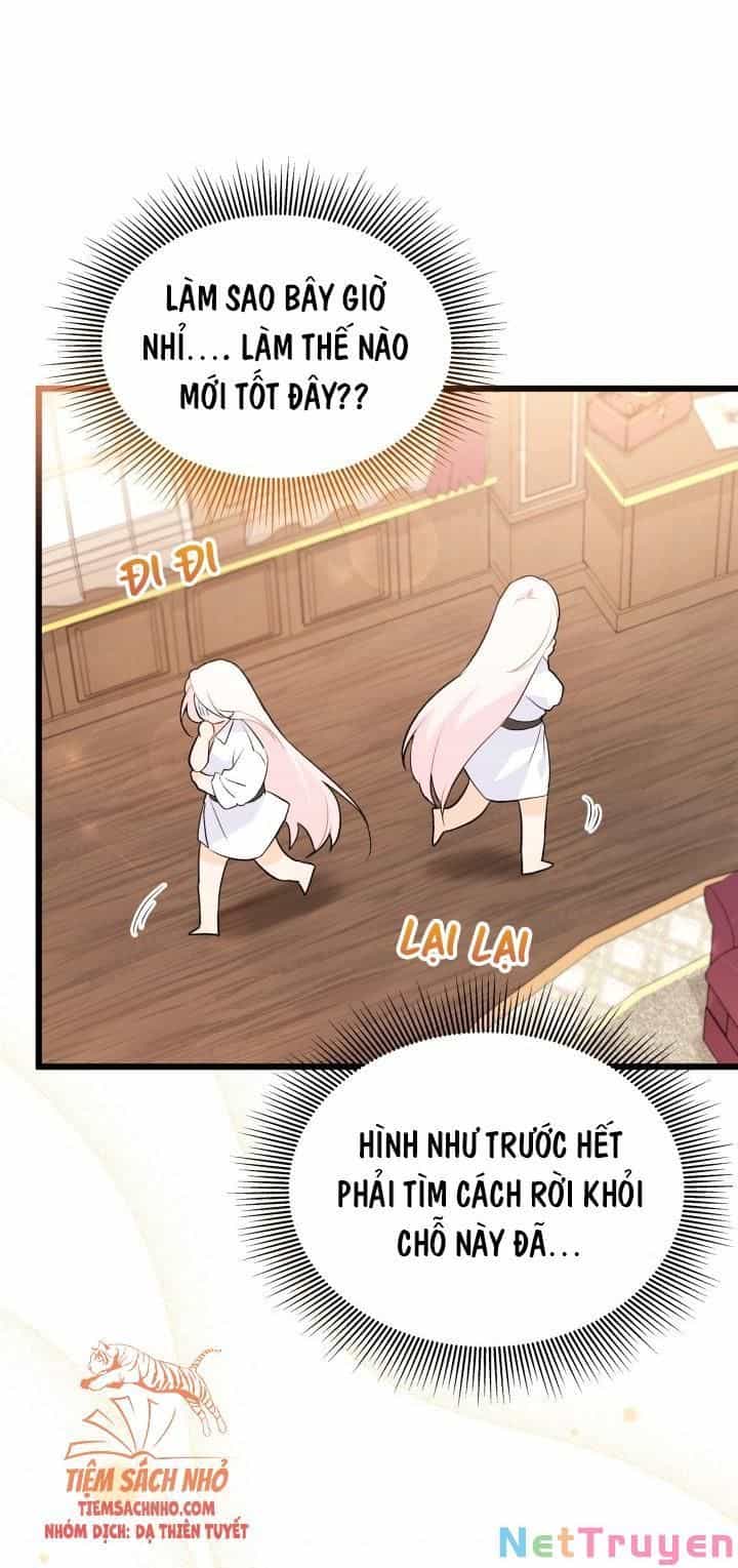 Mối Quan Hệ Cộng Sinh Giữa Báo Đen Và Thỏ Trắng - Chương 48 - ảnh 68