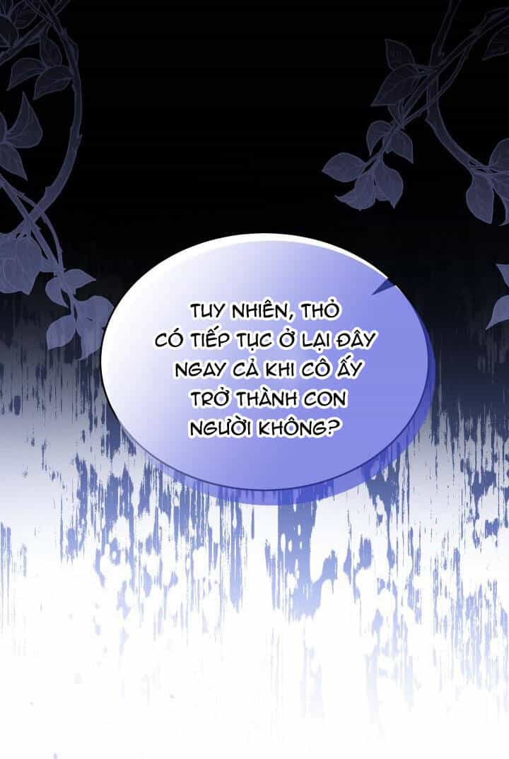 Mối Quan Hệ Cộng Sinh Giữa Báo Đen Và Thỏ Trắng - Chương 51 - ảnh 44