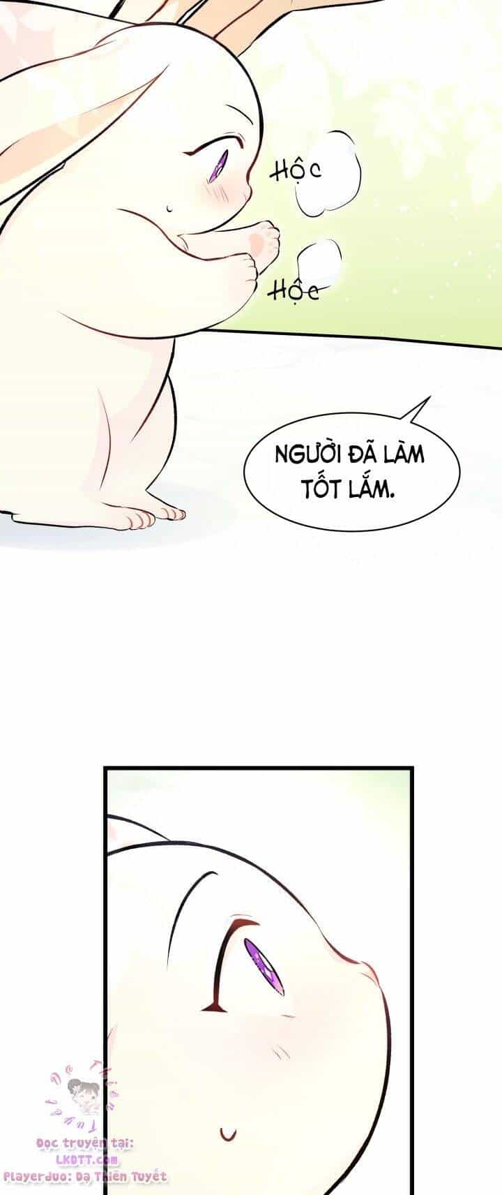 Mối Quan Hệ Cộng Sinh Giữa Báo Đen Và Thỏ Trắng - Chương 6 - ảnh 17