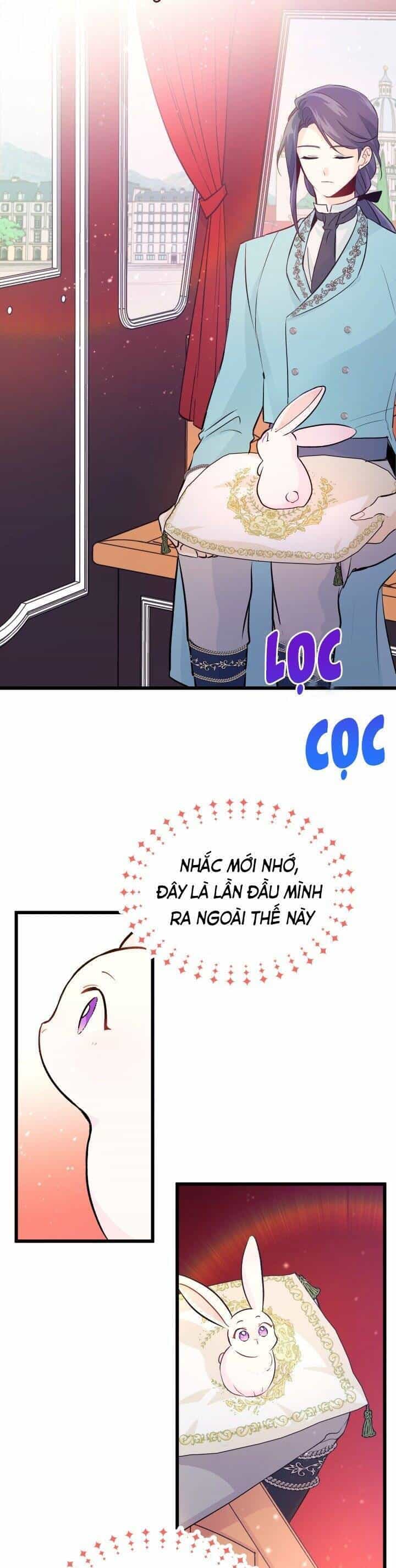 Mối Quan Hệ Cộng Sinh Giữa Báo Đen Và Thỏ Trắng - Chương 6 - ảnh 30