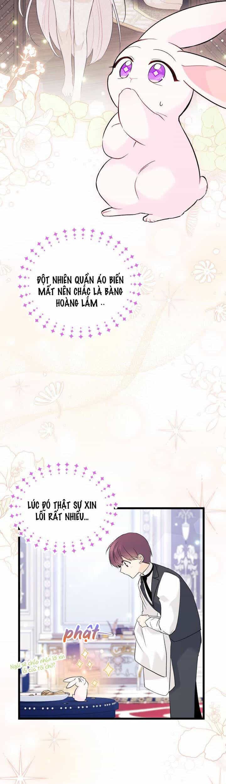 Mối Quan Hệ Cộng Sinh Giữa Báo Đen Và Thỏ Trắng - Chương 55 - ảnh 13
