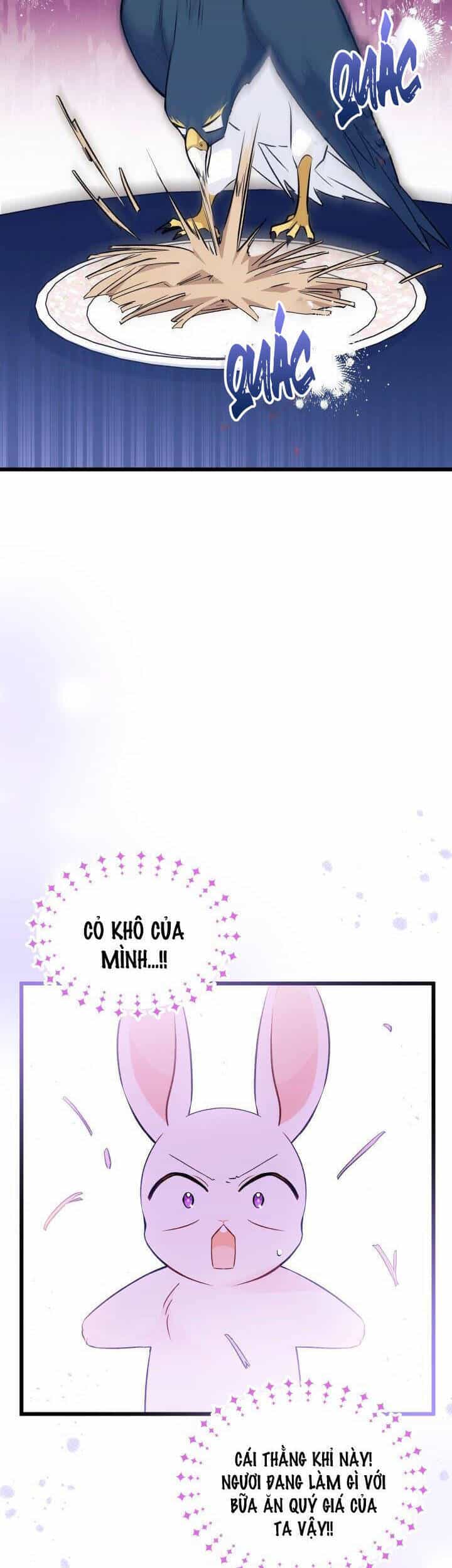 Mối Quan Hệ Cộng Sinh Giữa Báo Đen Và Thỏ Trắng - Chương 55 - ảnh 4