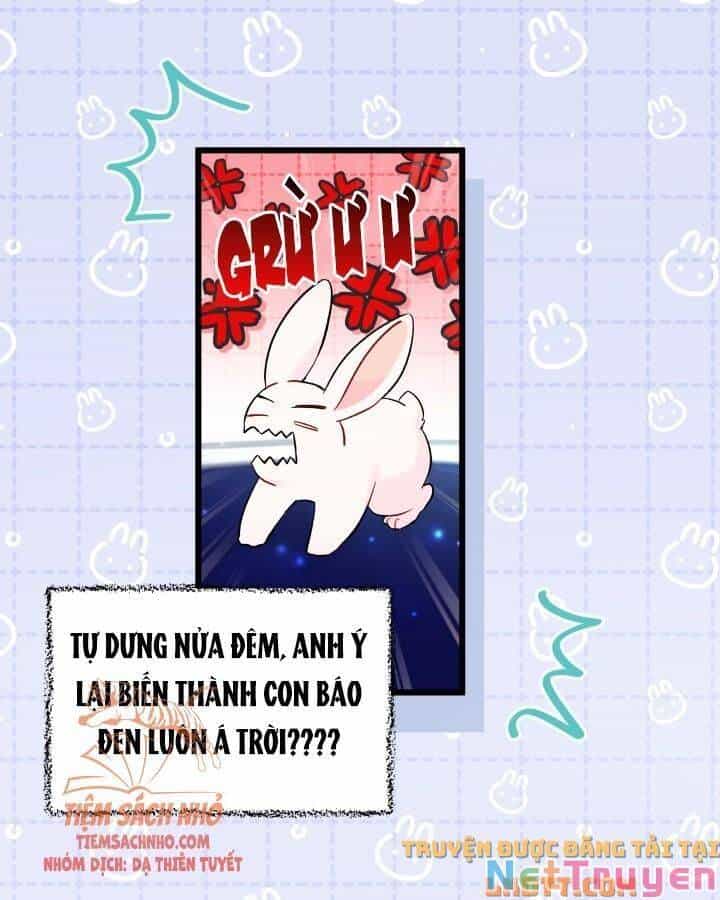 Mối Quan Hệ Cộng Sinh Giữa Báo Đen Và Thỏ Trắng - Chương 56 - ảnh 25